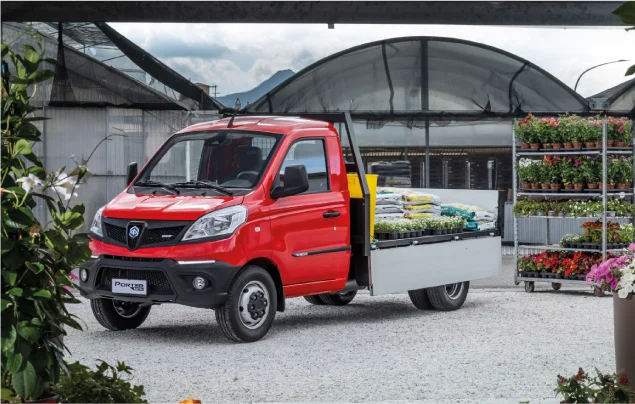 samochód dostawczy Piaggio skrzynia
